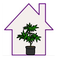 Σπόροι Κάνναβης Εσωτερικού Χώρου