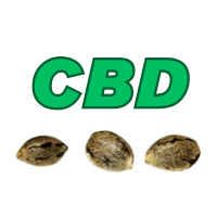Σπόροι Κάνναβης με Υψηλό CBD