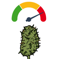 Δυνατότερες Ποικιλίες Κάνναβης
