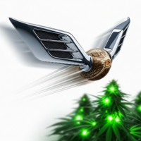 Σπόροι κάνναβης ημιαυτόματοι Fast Version