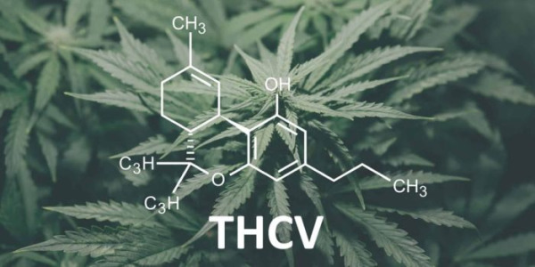 Τι είναι το THCV και πώς διαφέρει από το THC;